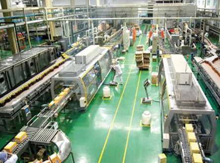 食品（pǐn）/飼料/塑料企業（yè）廢氣處理