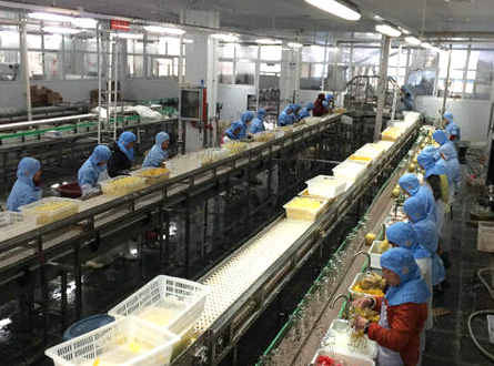  食品加（jiā）工廢（fèi）氣處理