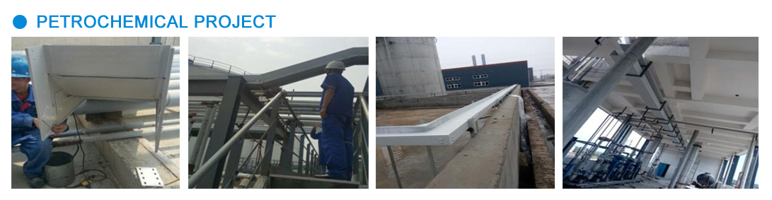 Petrochemical project